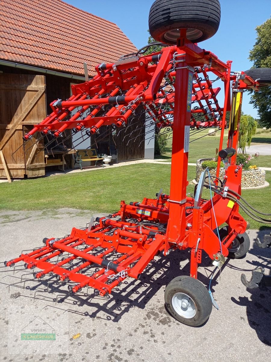 Striegel Türe ait Einböck Aerostar 600, Gebrauchtmaschine içinde Gleisdorf (resim 1)