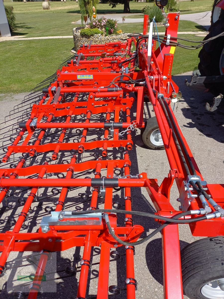 Striegel Türe ait Einböck Aerostar 600, Gebrauchtmaschine içinde Gleisdorf (resim 7)