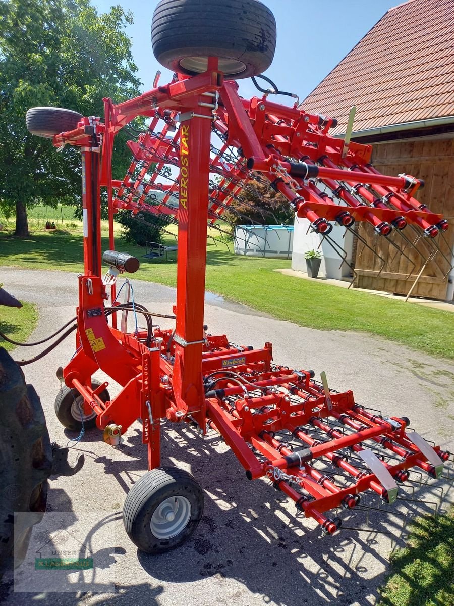 Striegel Türe ait Einböck Aerostar 600, Gebrauchtmaschine içinde Gleisdorf (resim 4)