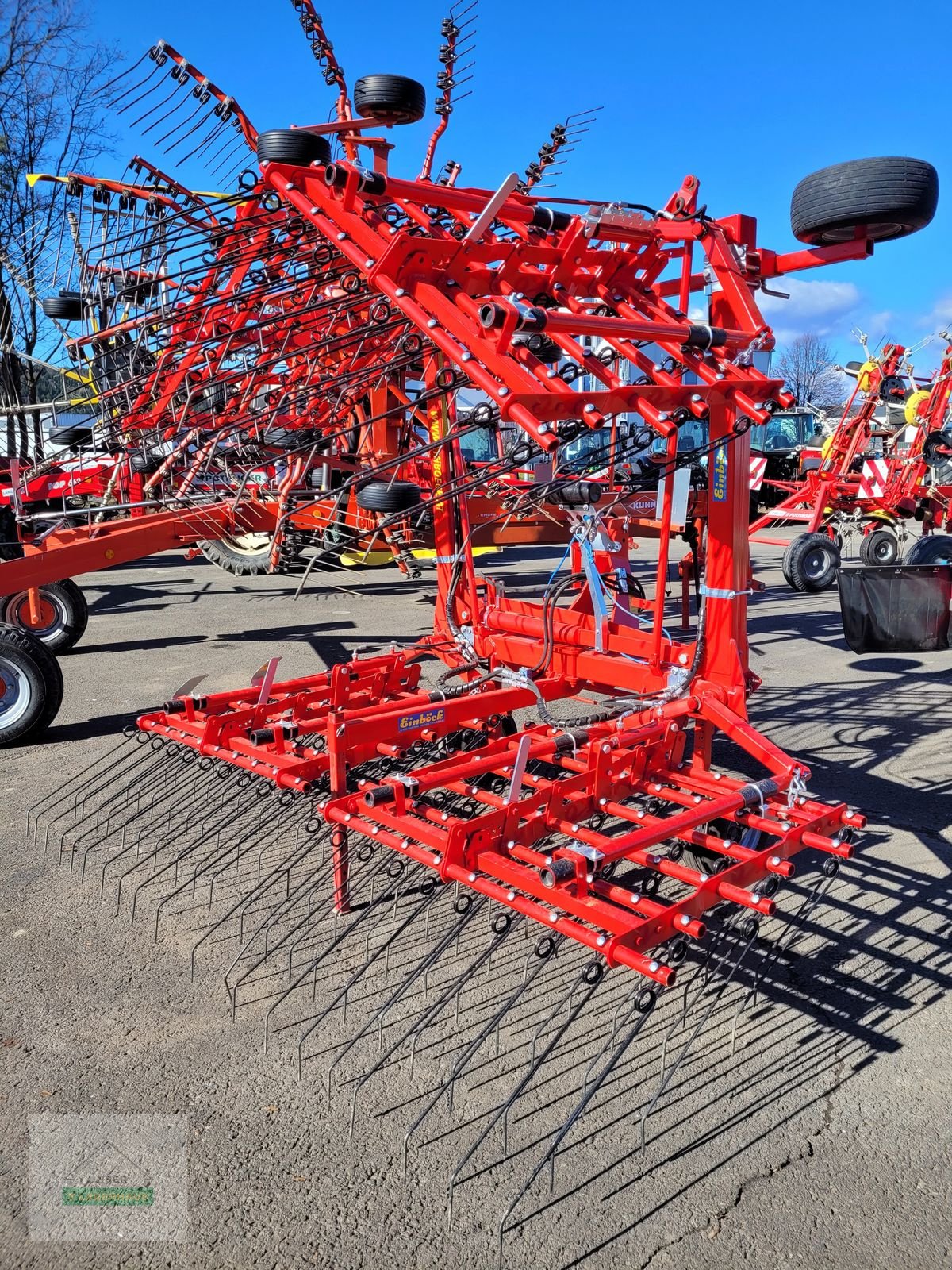 Striegel of the type Einböck Aerostar 600, Gebrauchtmaschine in Gleisdorf (Picture 1)