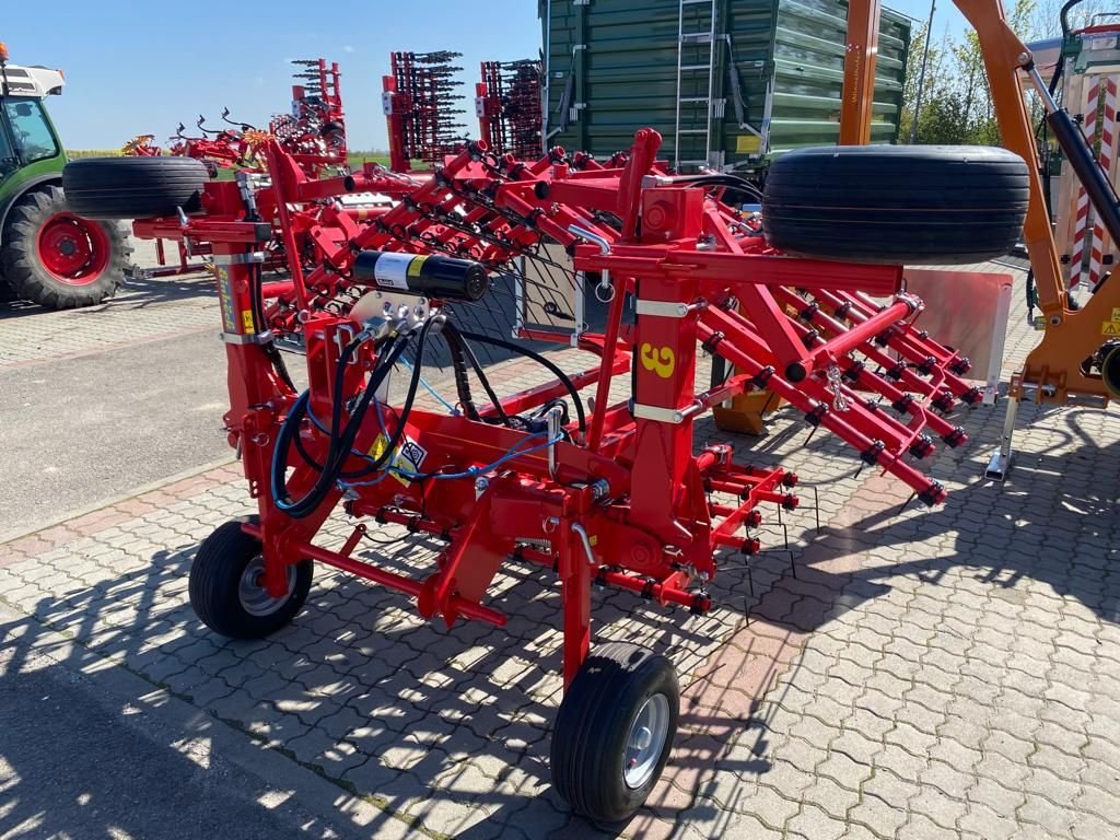 Striegel des Typs Einböck Aerostar Classic 450H, Neumaschine in Starrein (Bild 1)