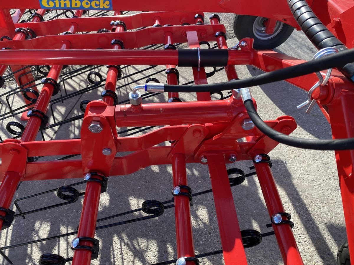 Striegel του τύπου Einböck Aerostar Classic 900S Hackstriegel, Neumaschine σε Starrein (Φωτογραφία 3)