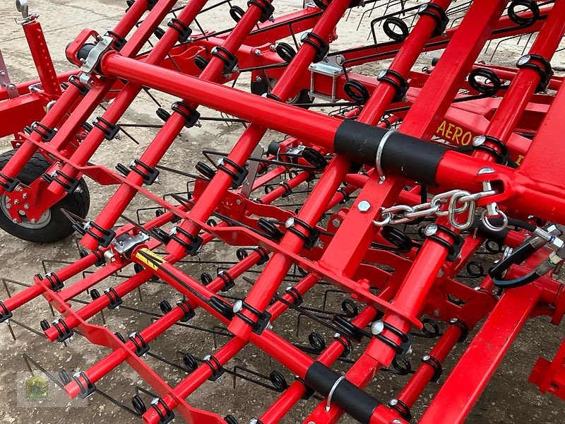 Striegel Türe ait Einböck Aerostar Exact 1200, Vorführmaschine içinde Salsitz (resim 12)