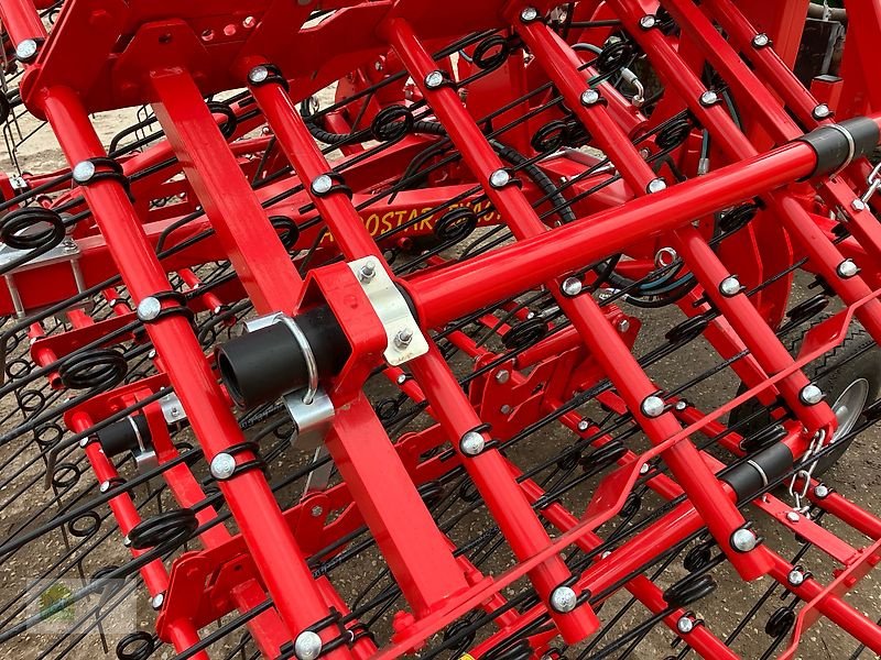 Striegel Türe ait Einböck Aerostar Exact 1200, Vorführmaschine içinde Salsitz (resim 28)