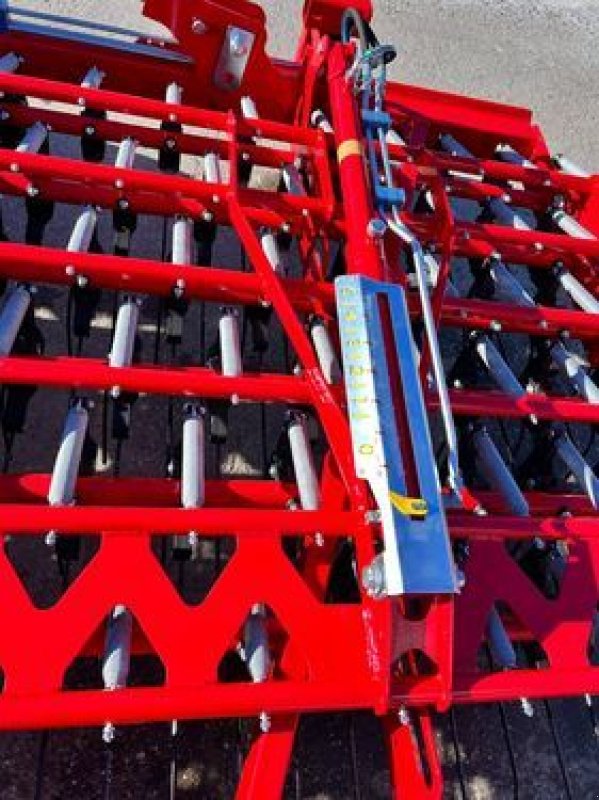 Striegel za tip Einböck Aerostar Fusion 600, Neumaschine u Starrein (Slika 8)