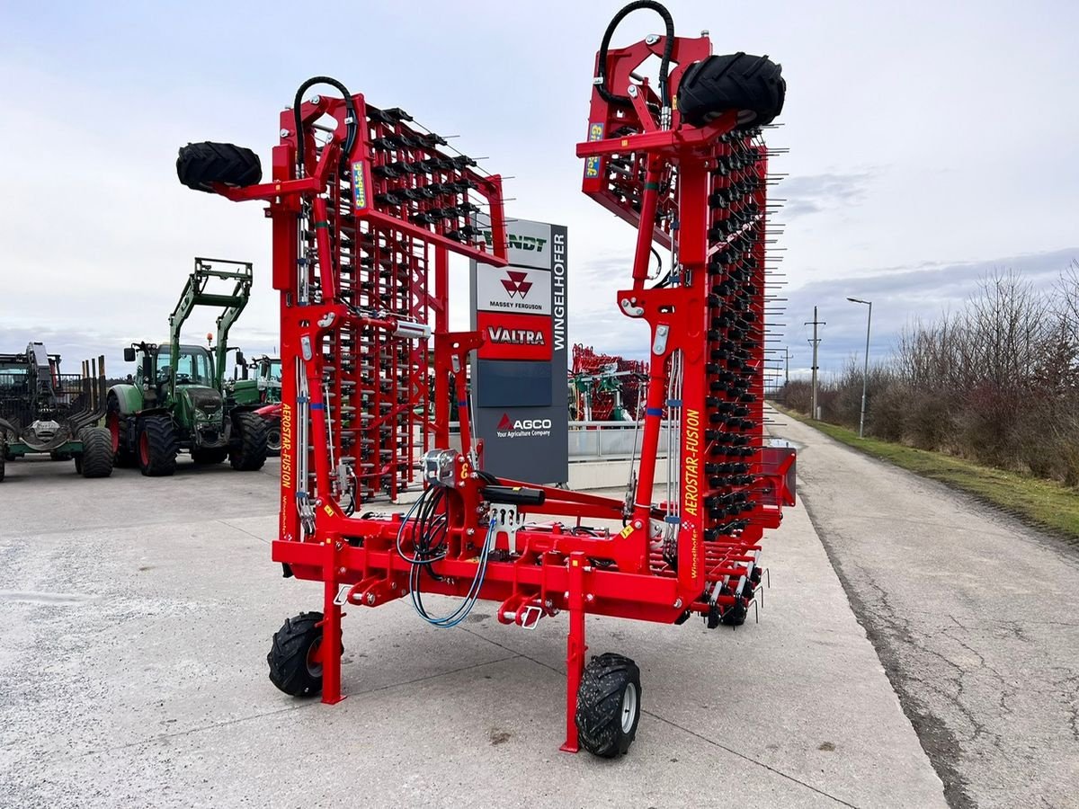 Striegel Türe ait Einböck Aerostar Fusion 900 Hackstriegel, Neumaschine içinde Starrein (resim 1)