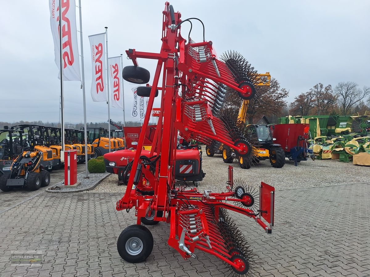 Striegel des Typs Einböck Aerostar-Rotation Typ 900 Rollstriegel, Gebrauchtmaschine in Aurolzmünster (Bild 21)