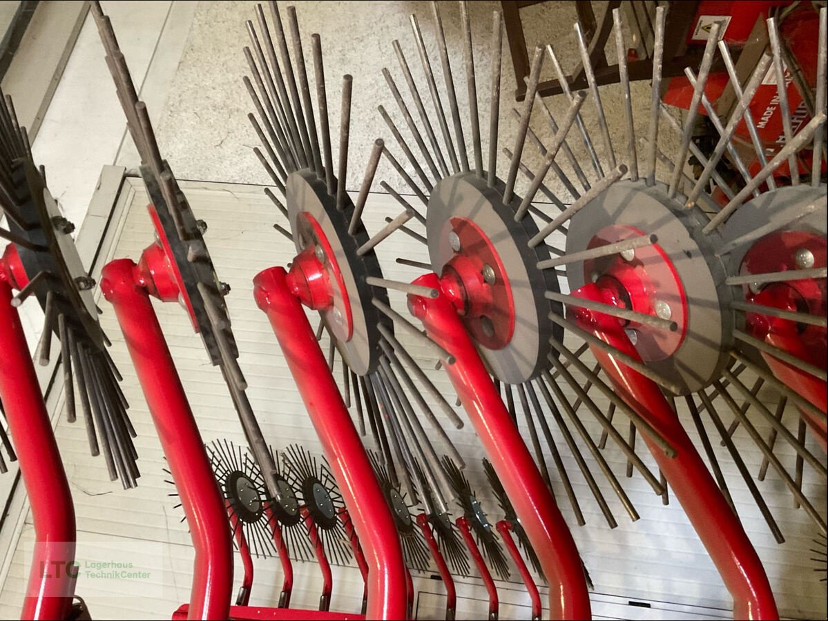 Striegel Türe ait Einböck Aerostar Rotation, Gebrauchtmaschine içinde Korneuburg (resim 4)