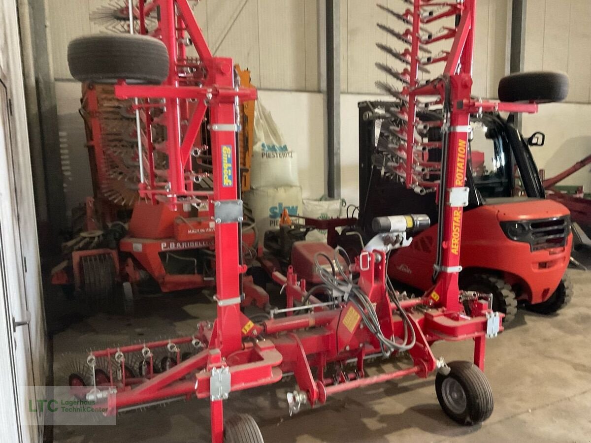 Striegel Türe ait Einböck Aerostar Rotation, Gebrauchtmaschine içinde Korneuburg (resim 3)