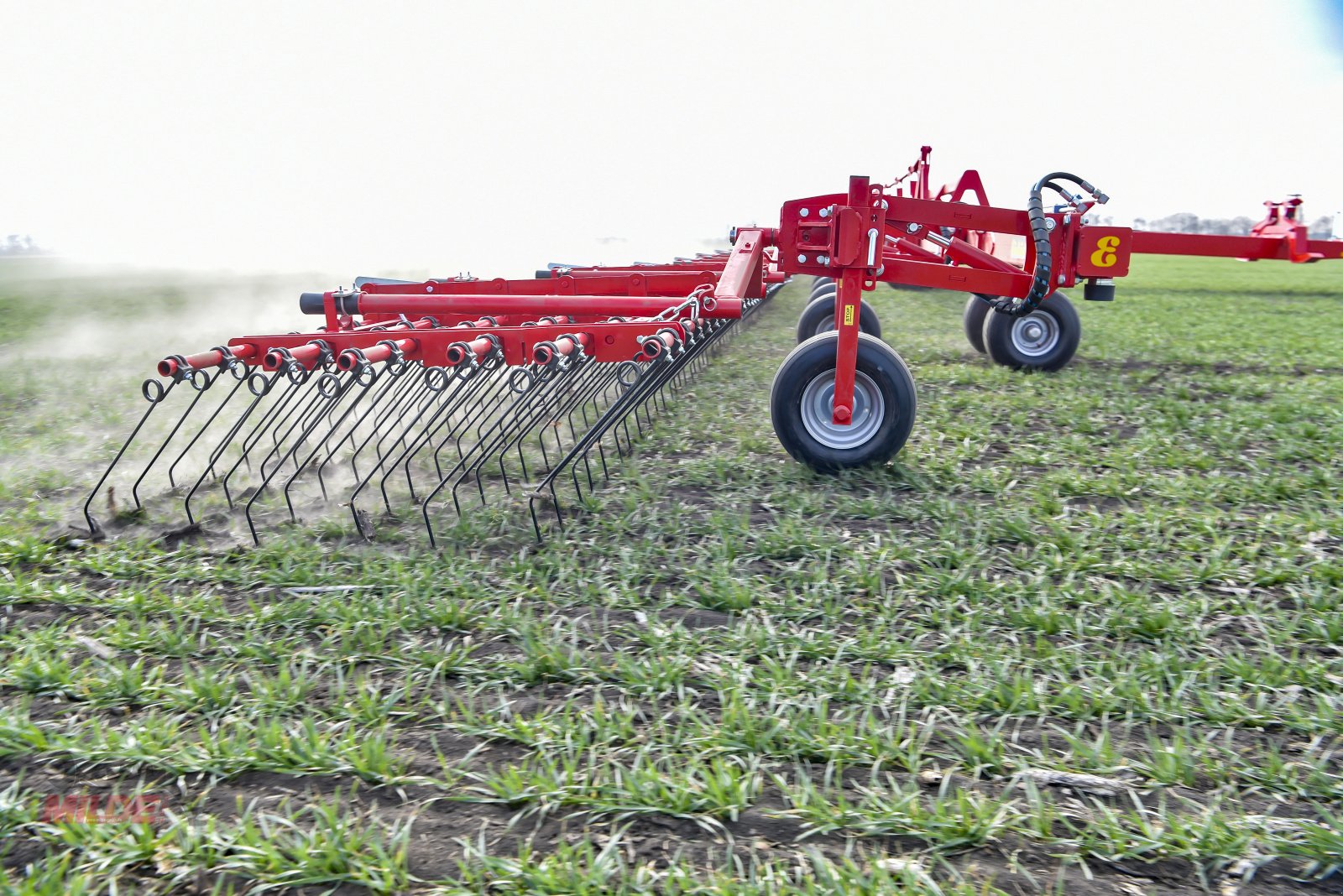 Striegel des Typs Einböck Aerostar XXL 2400, Neumaschine in Elsteraue-Bornitz (Bild 6)