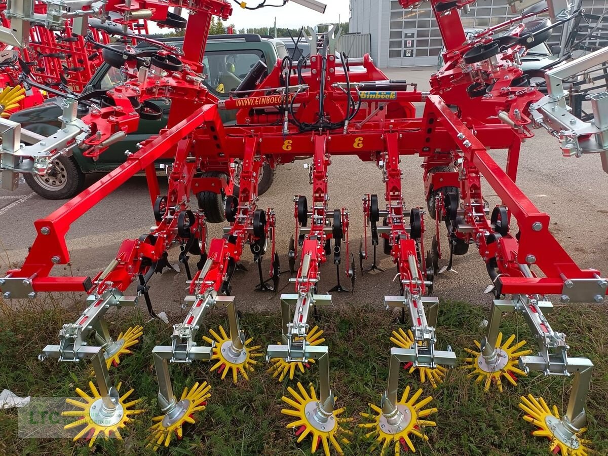 Striegel a típus Einböck chopstar 12R 50cm + 45cm, Gebrauchtmaschine ekkor: Eggendorf (Kép 5)