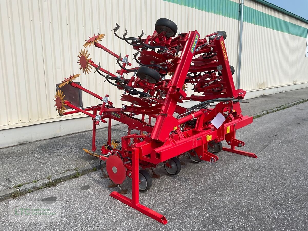 Striegel of the type Einböck Chopstar EMS 7 Reihig, Gebrauchtmaschine in Kalsdorf (Picture 2)