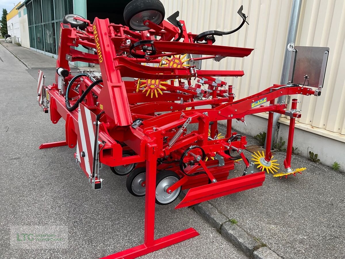 Striegel от тип Einböck Chopstar EMS 7 Reihig, Neumaschine в Kalsdorf (Снимка 1)