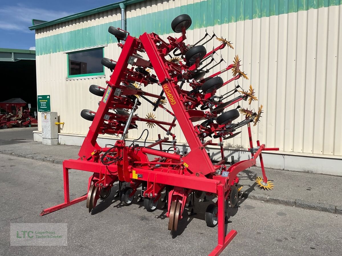 Striegel от тип Einböck Copstar 12-reihig, Gebrauchtmaschine в Kalsdorf (Снимка 1)