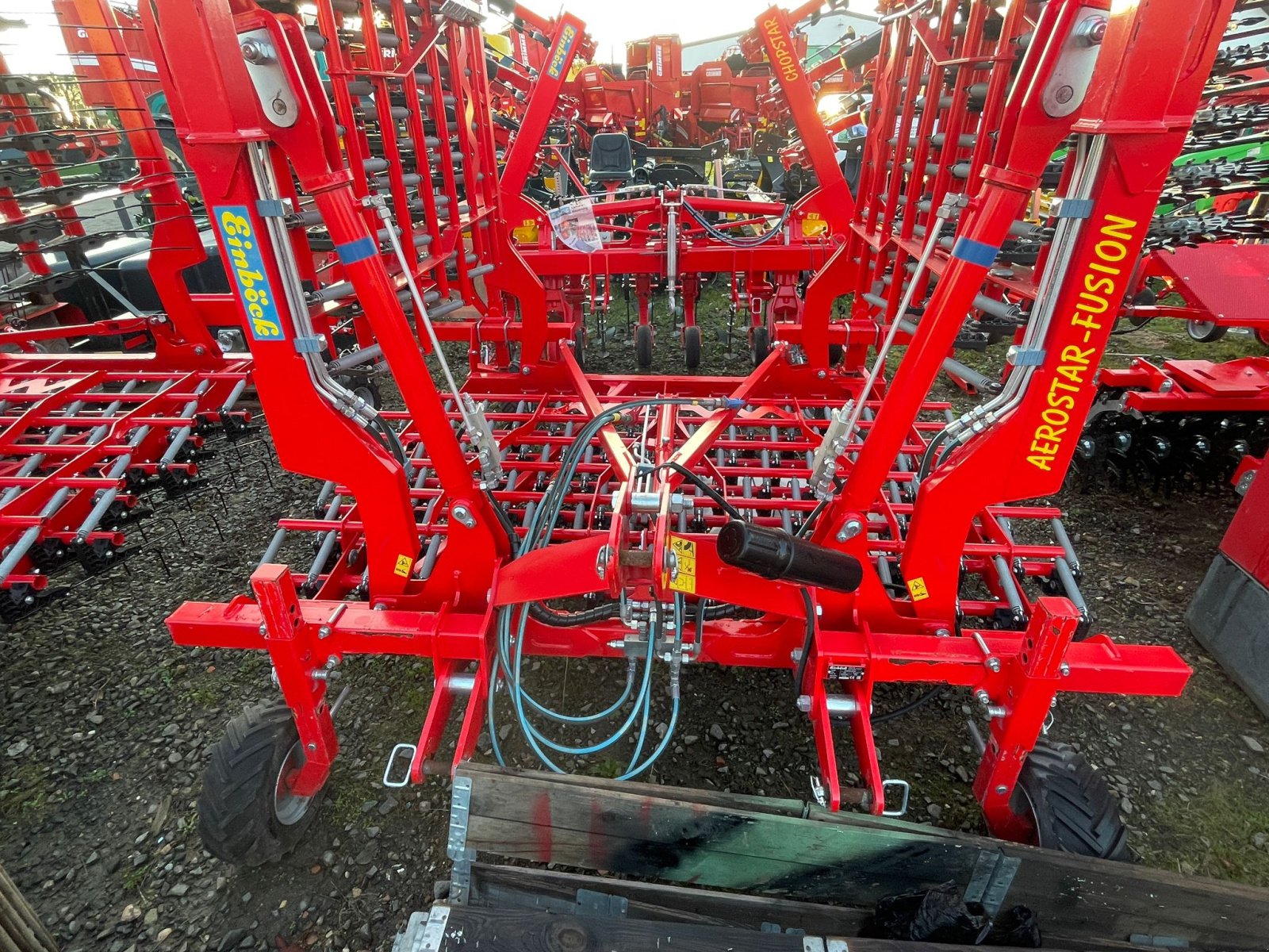 Striegel του τύπου Einböck Fusion 600, Gebrauchtmaschine σε Dannstadt-Schauernheim (Φωτογραφία 5)