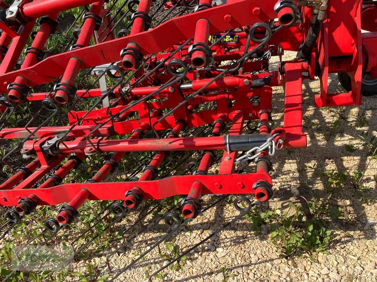 Striegel του τύπου Einböck PneumaticStar 1200, Gebrauchtmaschine σε Eggendorf (Φωτογραφία 3)