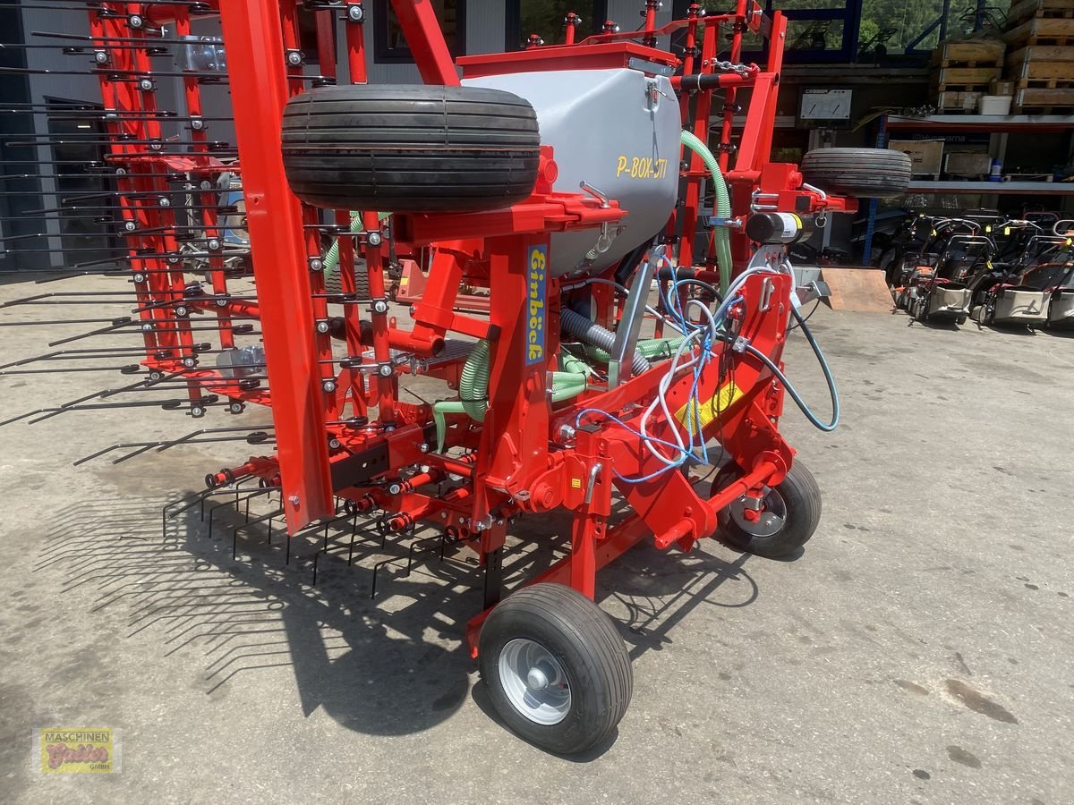 Striegel des Typs Einböck PNEUMATICSTAR-STI 450 - Arbeitsbreite 4,5m, Neumaschine in Kötschach (Bild 13)