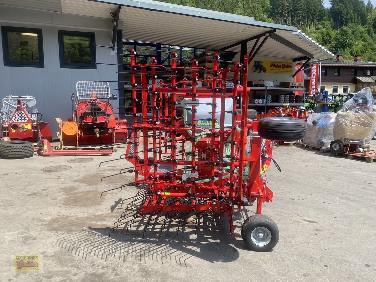 Striegel des Typs Einböck PNEUMATICSTAR-STI 450 - Arbeitsbreite 4,5m, Neumaschine in Kötschach (Bild 5)