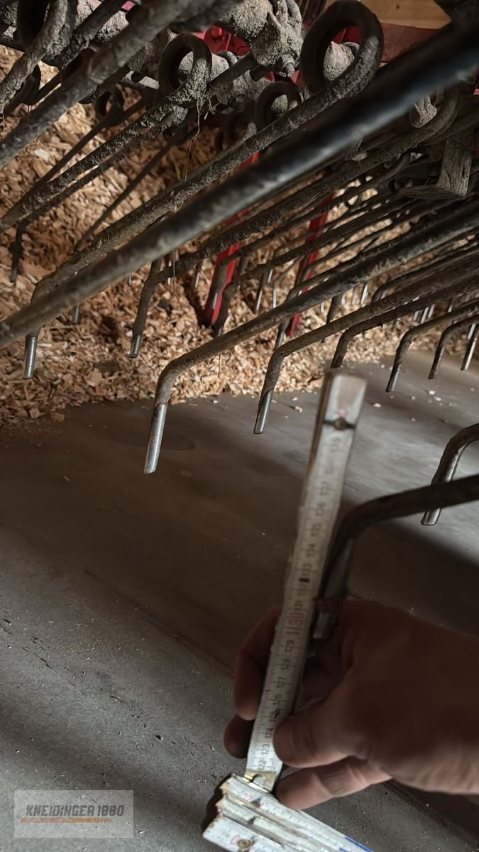 Striegel Türe ait Einböck Pneumatikstar, Gebrauchtmaschine içinde Altenfelden (resim 2)