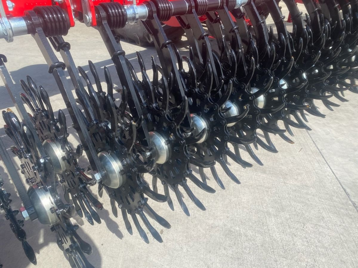 Striegel of the type Einböck Rotarystar 1200, Gebrauchtmaschine in Hürm (Picture 9)