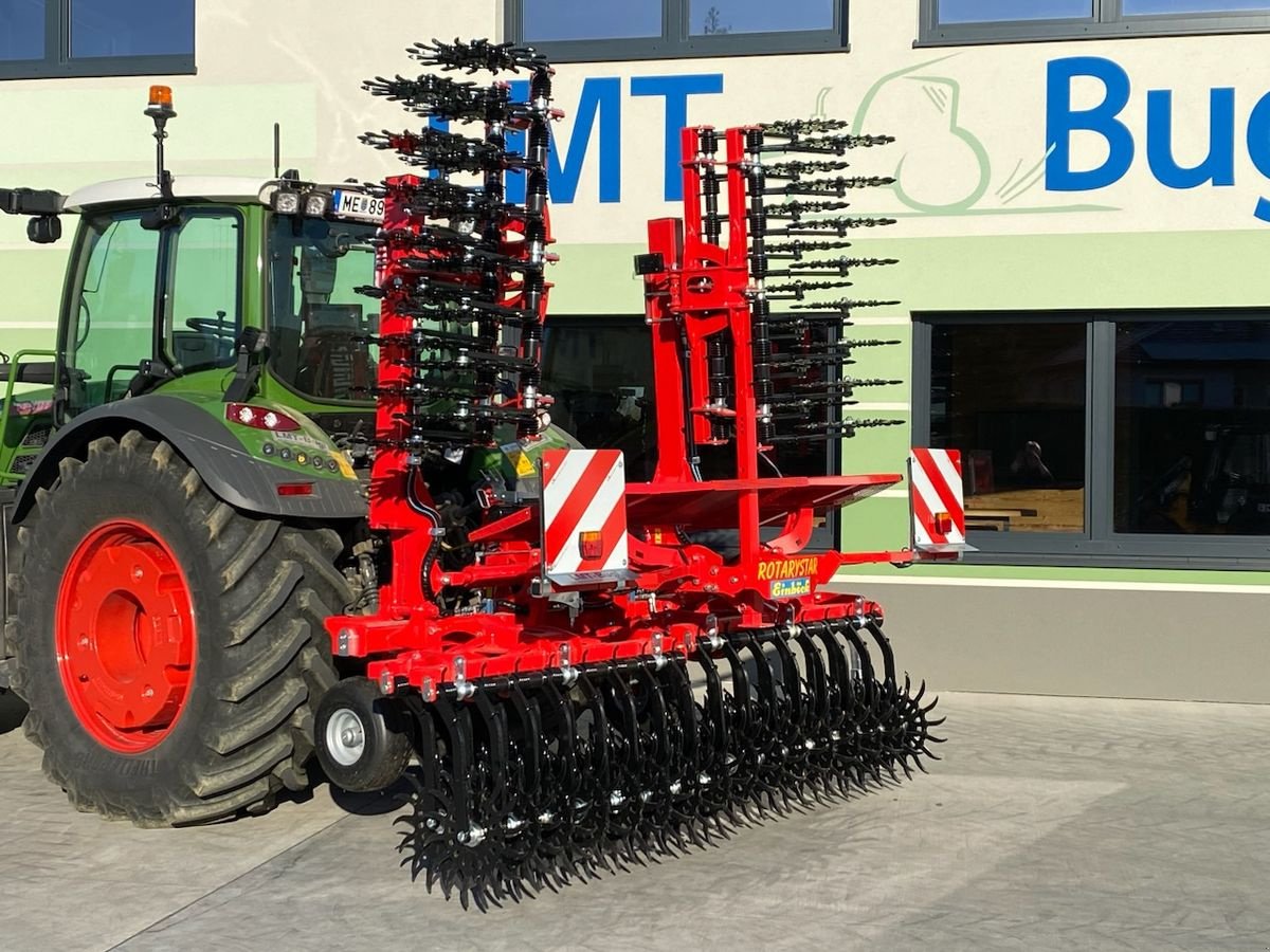 Striegel of the type Einböck Rotarystar 600, Gebrauchtmaschine in Hürm (Picture 10)