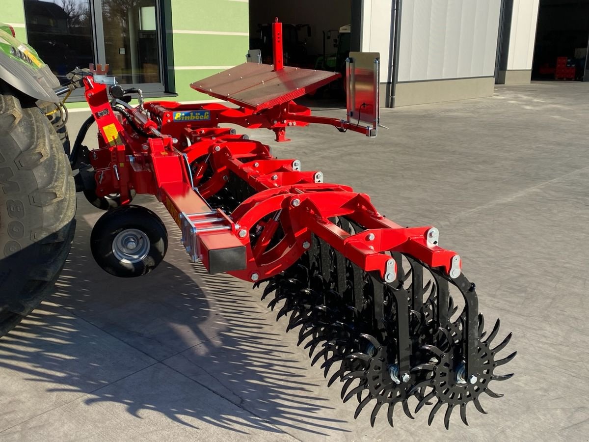 Striegel of the type Einböck Rotarystar 600, Gebrauchtmaschine in Hürm (Picture 7)