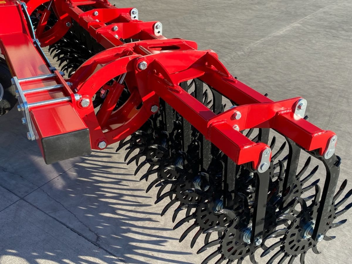 Striegel of the type Einböck Rotarystar 600, Gebrauchtmaschine in Hürm (Picture 5)