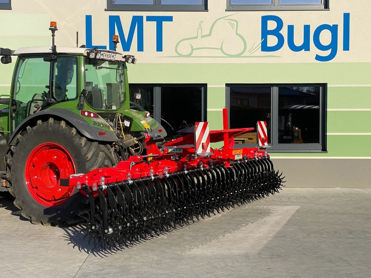 Striegel of the type Einböck Rotarystar 600, Gebrauchtmaschine in Hürm (Picture 1)