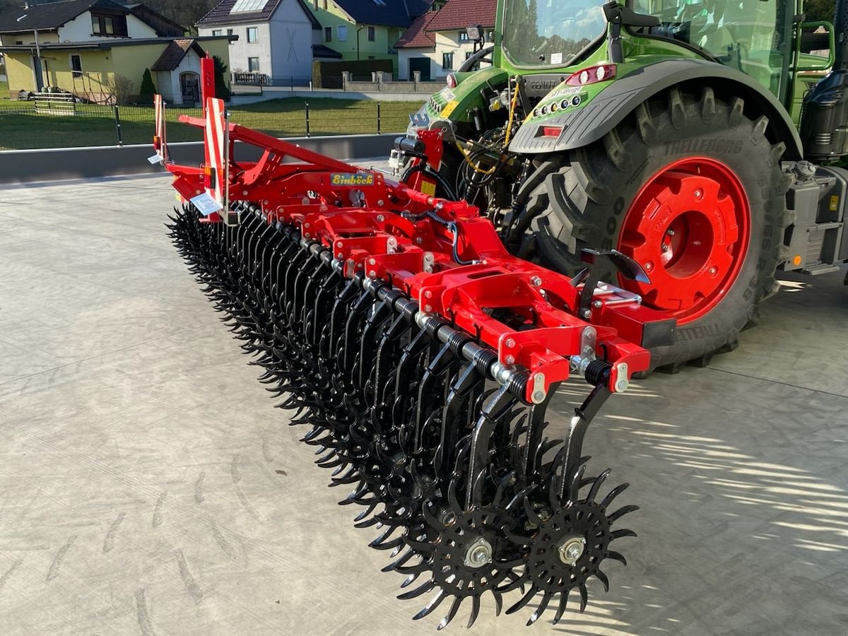 Striegel of the type Einböck Rotarystar 600, Gebrauchtmaschine in Hürm (Picture 9)