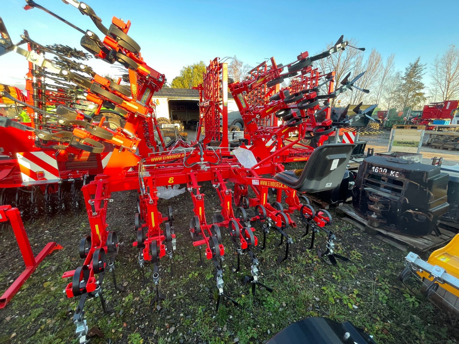 Striegel Türe ait Einböck Rotarystar 600, Neumaschine içinde Dannstadt-Schauernheim (resim 3)
