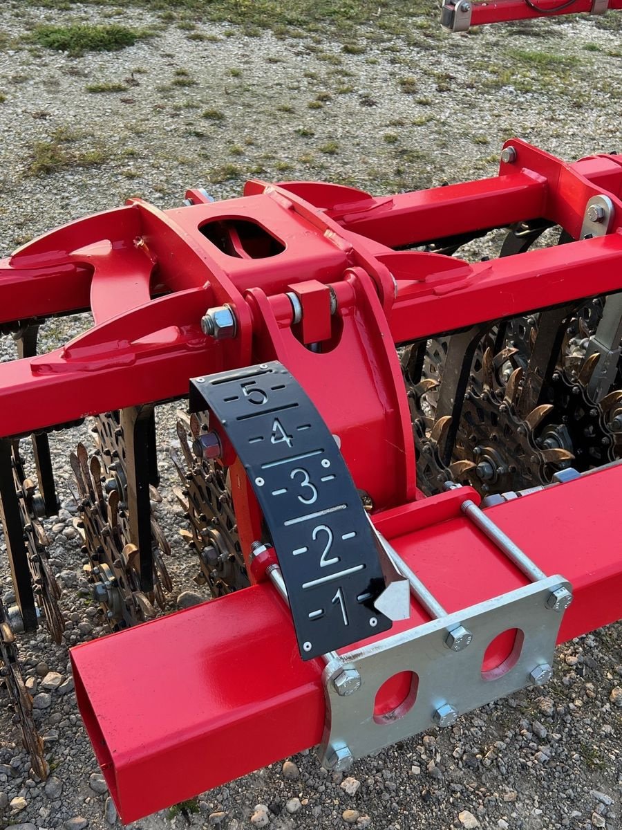 Striegel van het type Einböck Rotarystar 600, Gebrauchtmaschine in Kottingneusiedl (Foto 4)