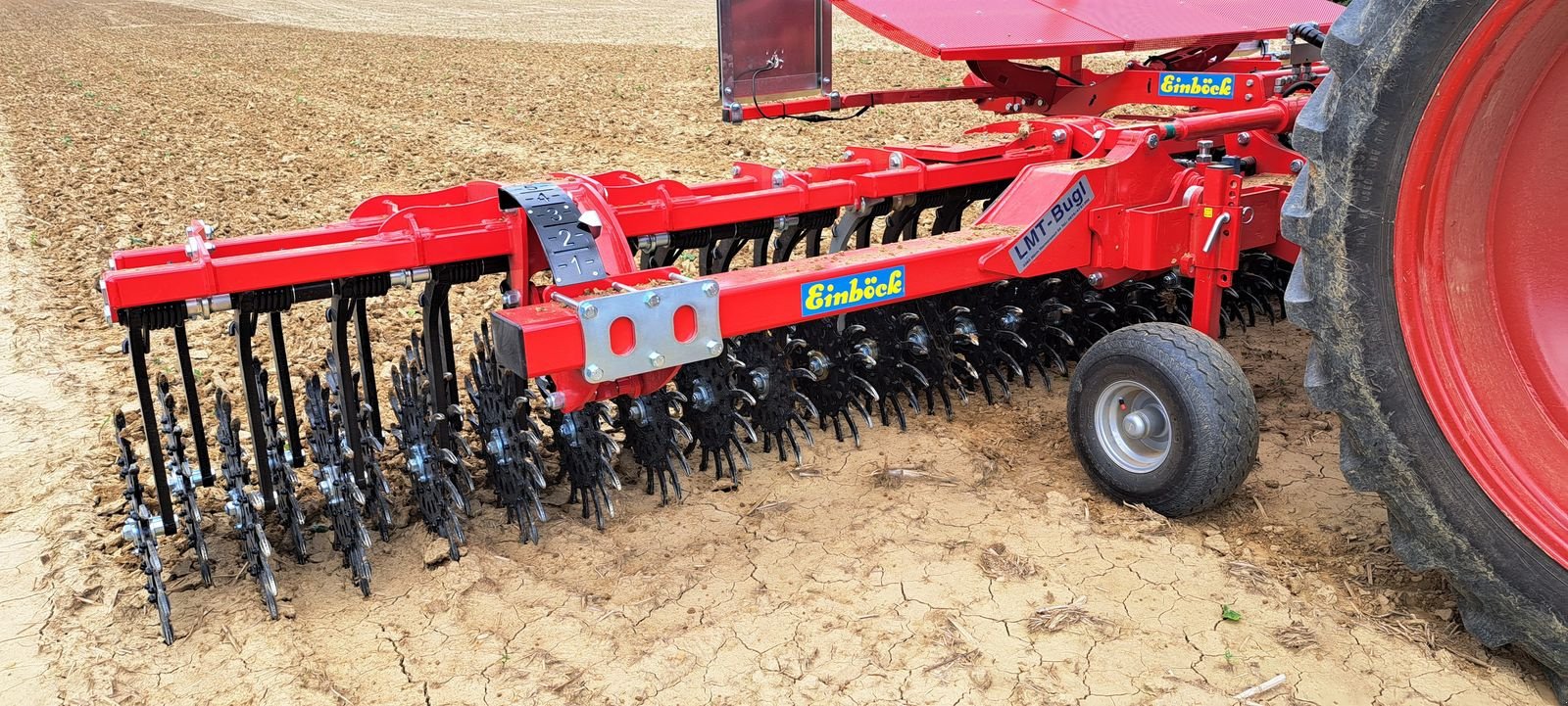 Striegel Türe ait Einböck Rotarystar 640, Gebrauchtmaschine içinde Burgkirchen (resim 4)