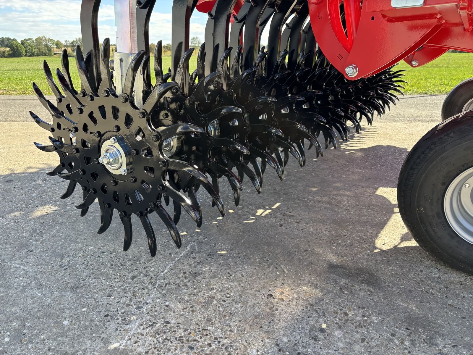 Striegel Türe ait Einböck Rotarystar 640, Neumaschine içinde Starrein (resim 8)