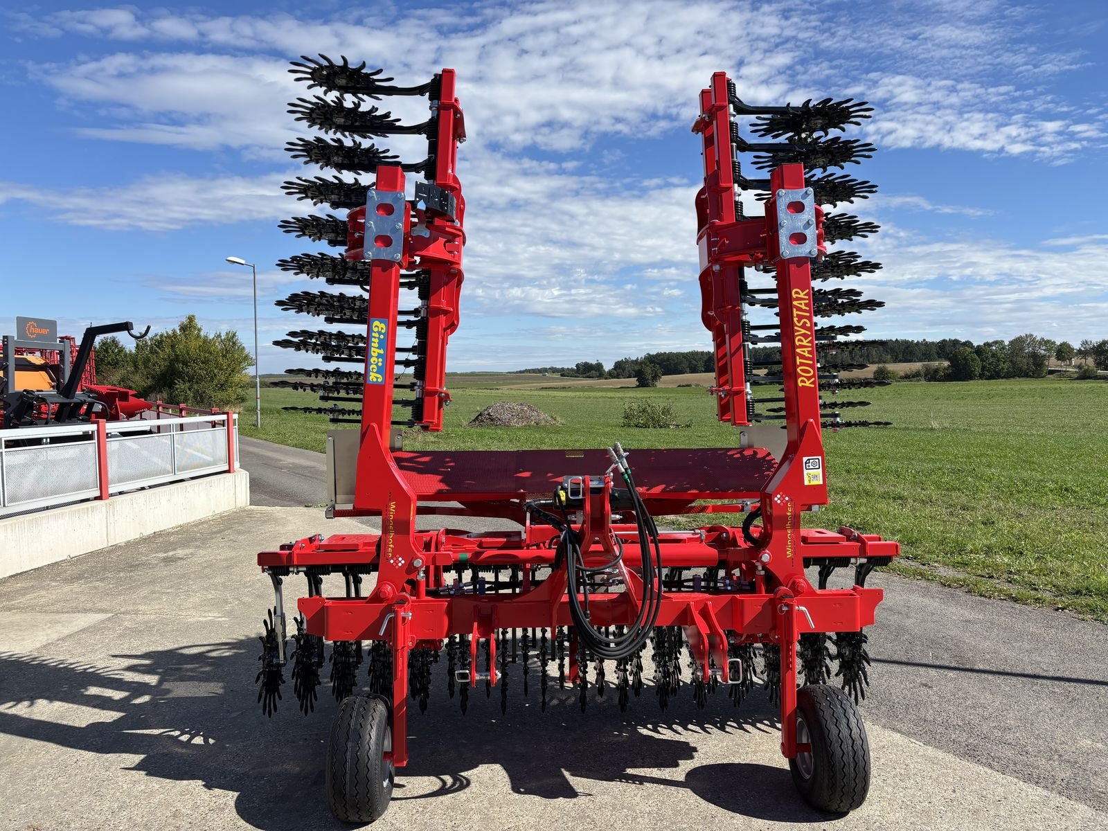 Striegel Türe ait Einböck Rotarystar 640, Neumaschine içinde Starrein (resim 2)