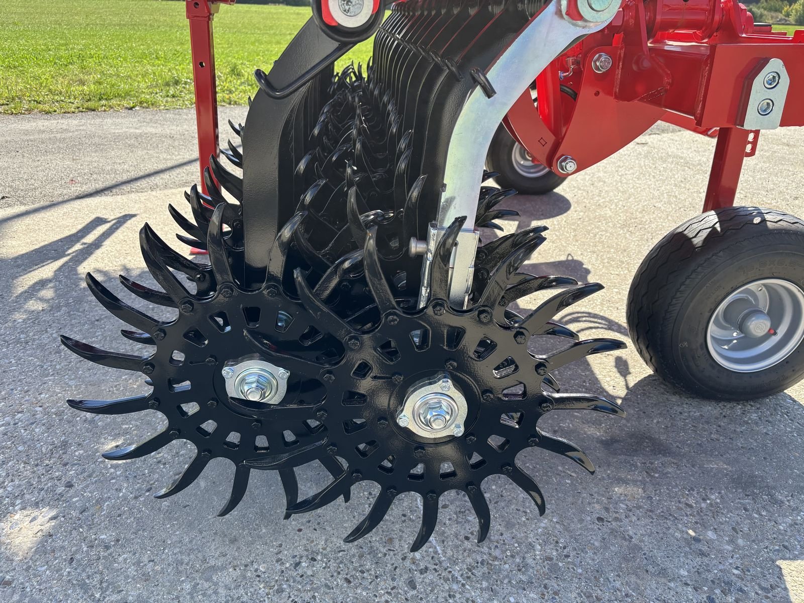 Striegel Türe ait Einböck Rotarystar 640, Neumaschine içinde Starrein (resim 7)