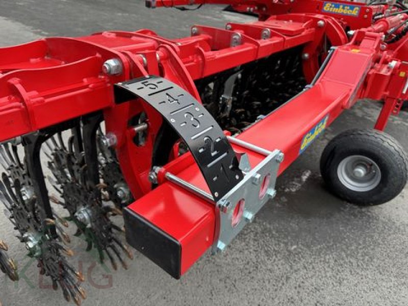 Striegel tipa Einböck Rotarystar 640, Gebrauchtmaschine u Pirching am Traubenberg (Slika 13)