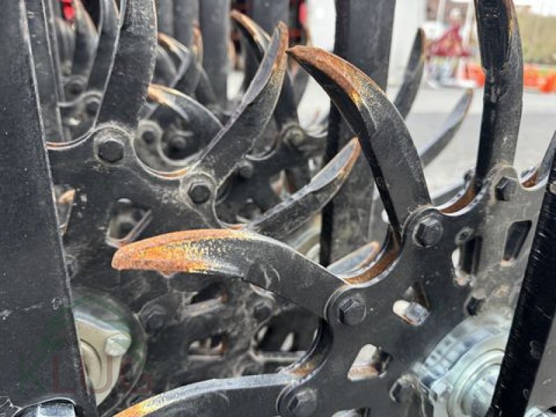 Striegel tipa Einböck Rotarystar 640, Gebrauchtmaschine u Pirching am Traubenberg (Slika 4)