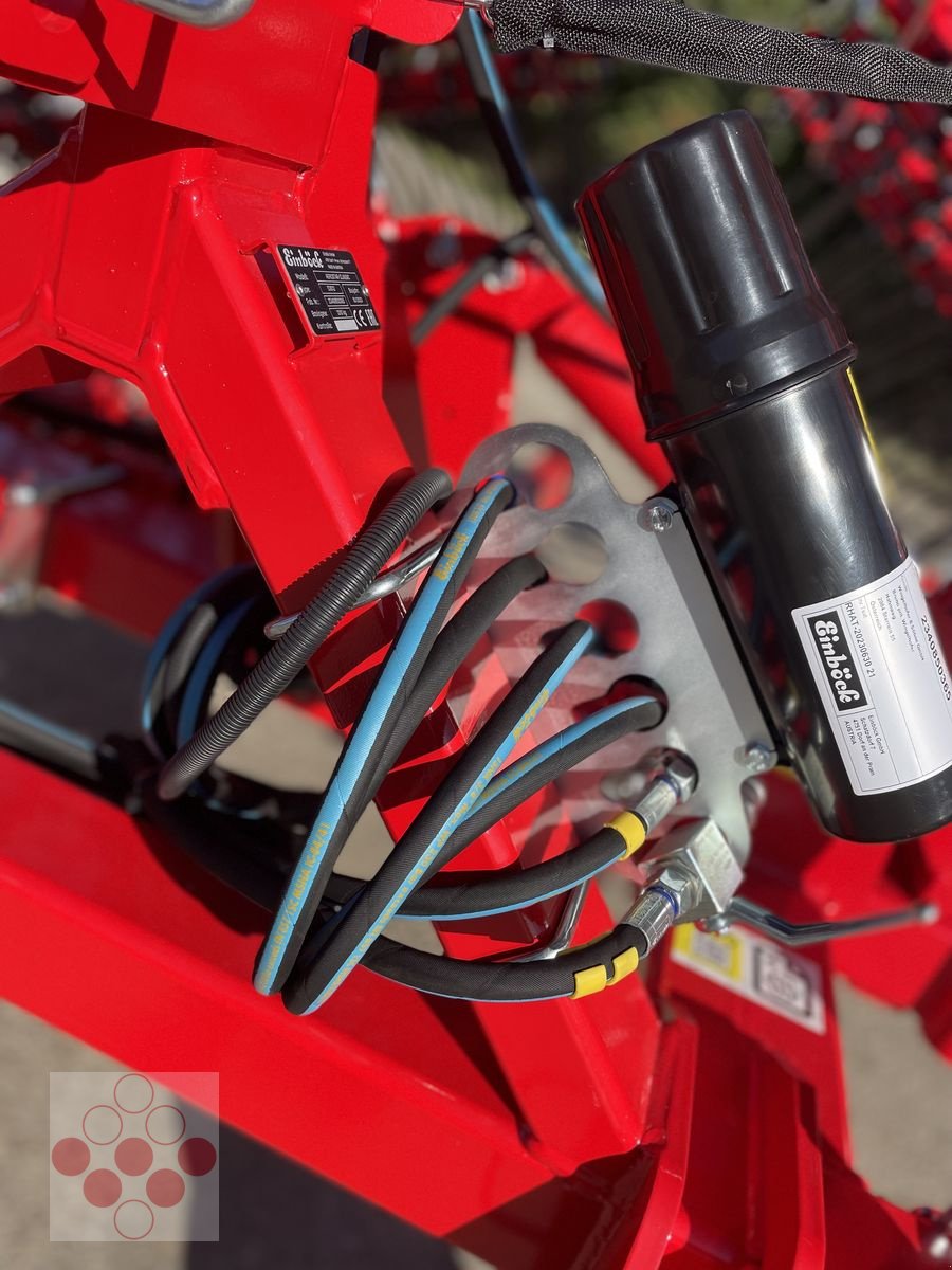 Striegel del tipo Einböck Striegel Aerostar Classic 1200, Neumaschine In Starrein (Immagine 7)