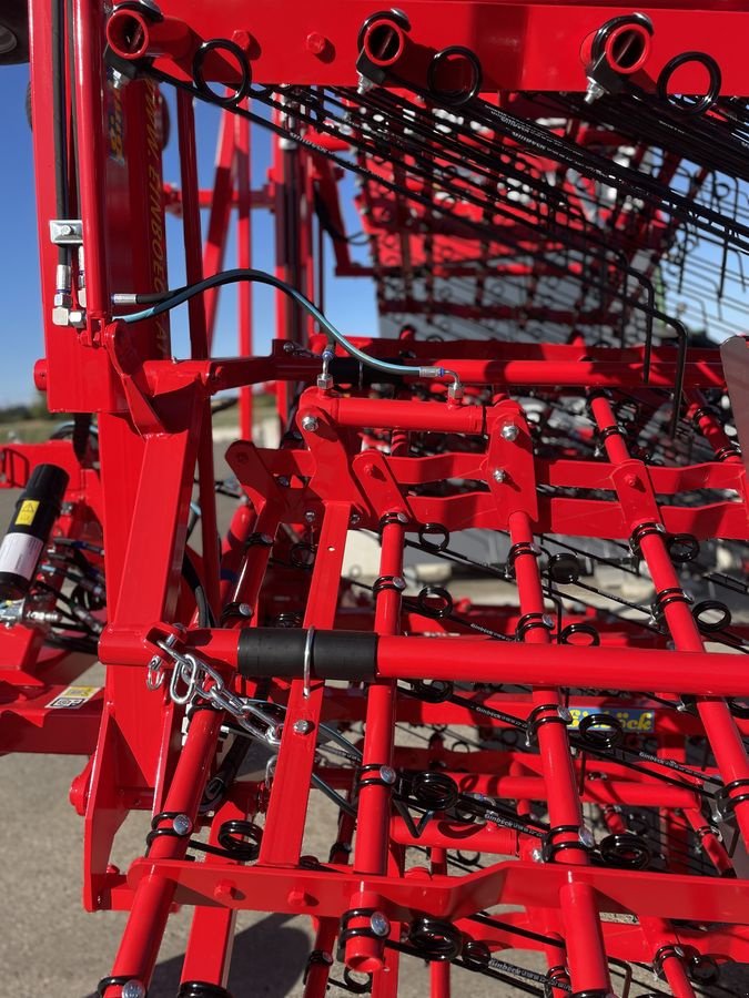 Striegel van het type Einböck Striegel Aerostar Classic 1200, Neumaschine in Starrein (Foto 6)