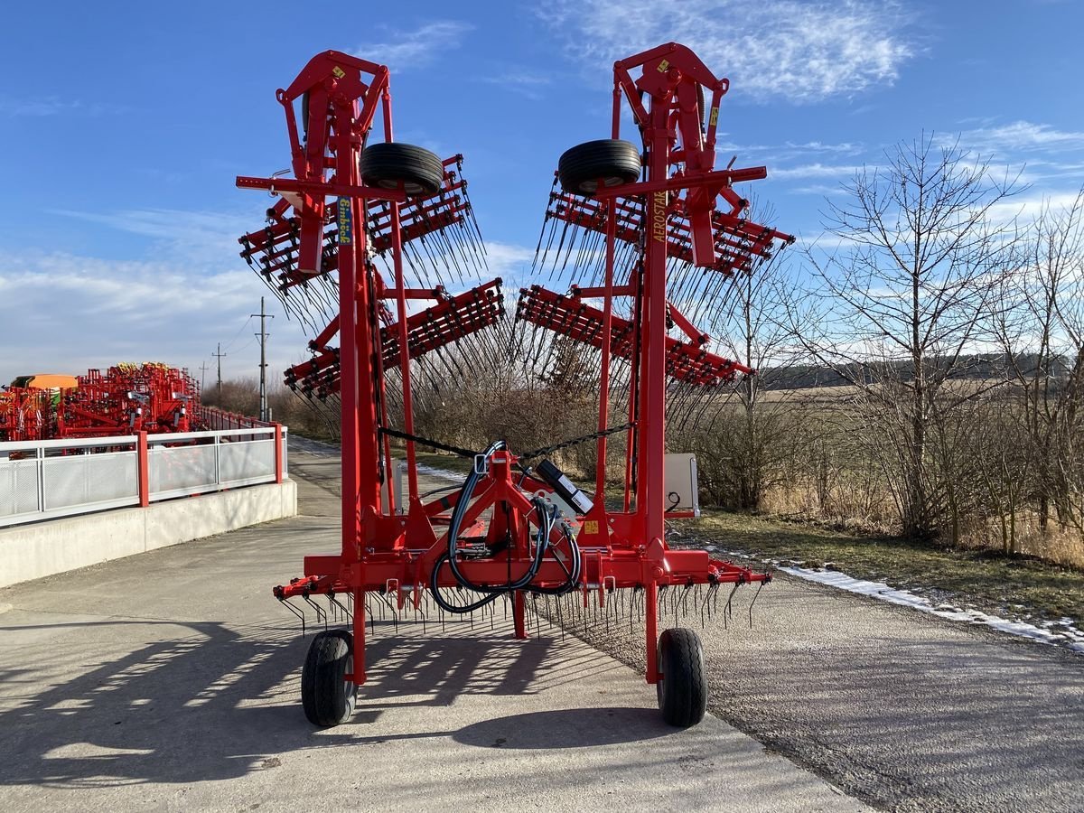 Striegel del tipo Einböck Striegel Aerostar Classic 900S, Neumaschine en Starrein (Imagen 2)