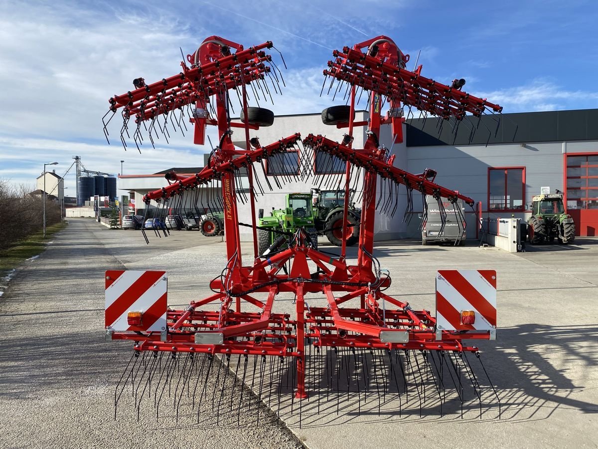 Striegel del tipo Einböck Striegel Aerostar Classic 900S, Neumaschine en Starrein (Imagen 4)