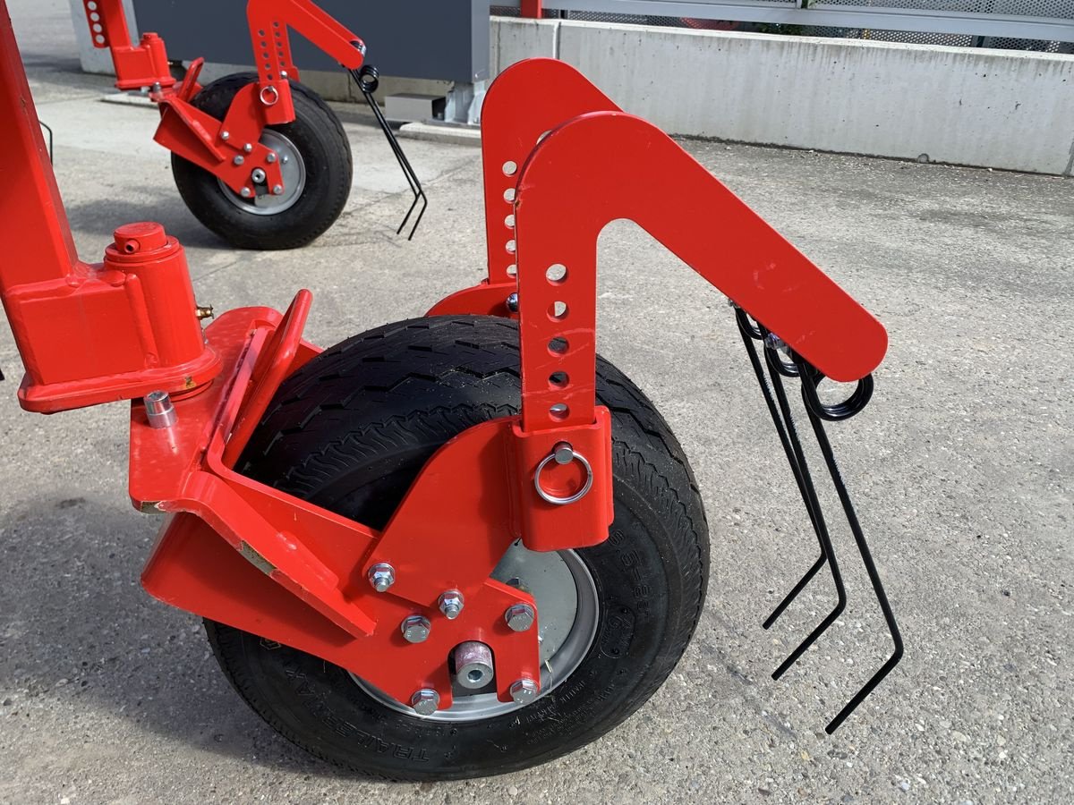 Striegel du type Einböck Striegel Aerostar Exact 1200, Neumaschine en Starrein (Photo 7)