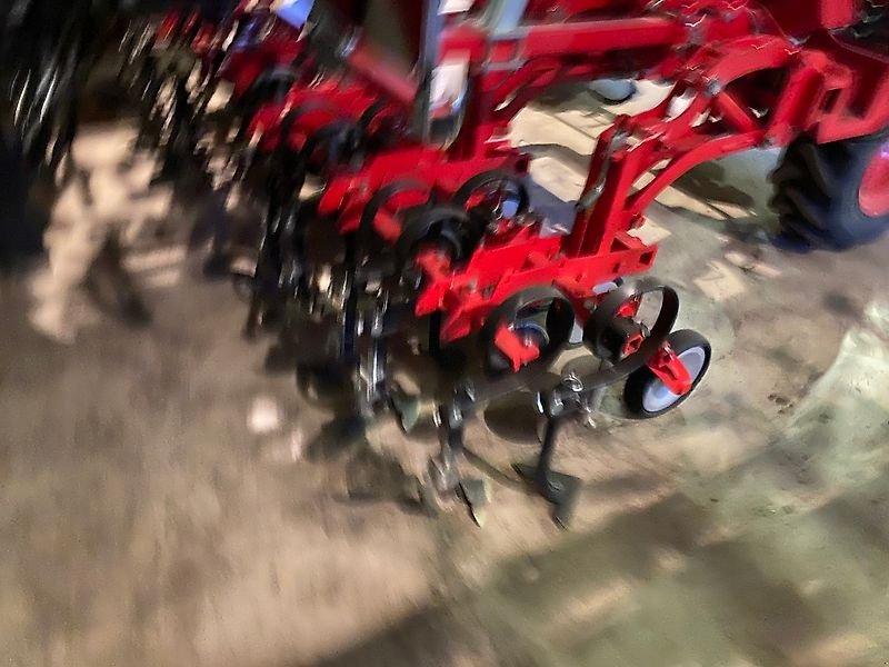 Striegel of the type Einböck Twin, Gebrauchtmaschine in Dingolfing (Picture 11)