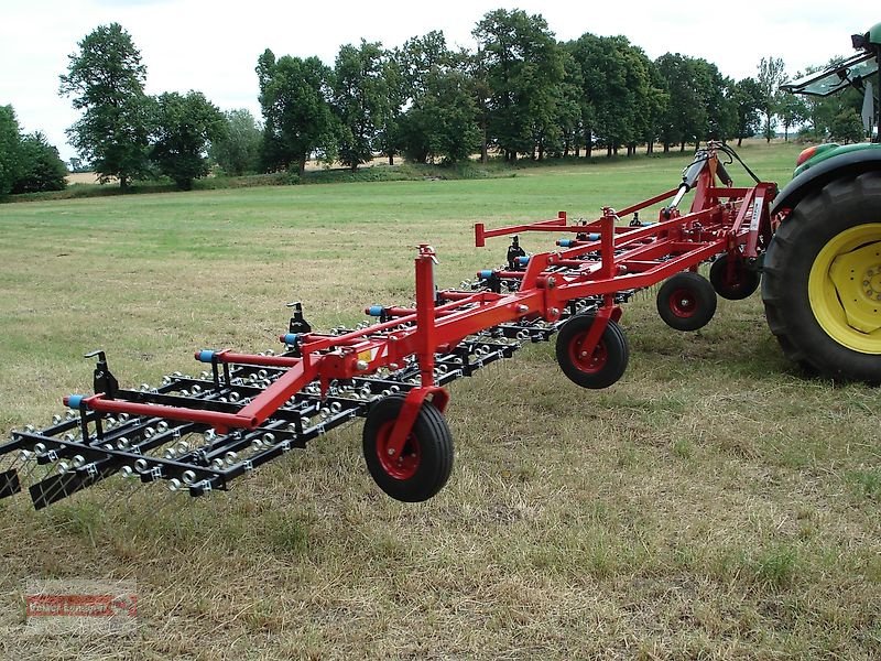 Striegel от тип Expom Fox L Hackstriegel 9 m, Neumaschine в Ostheim/Rhön (Снимка 11)