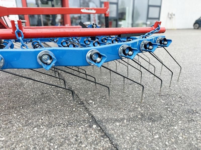 Striegel typu Hatzenbichler 6m Striegel, Gebrauchtmaschine w St. Marienkirchen (Zdjęcie 8)