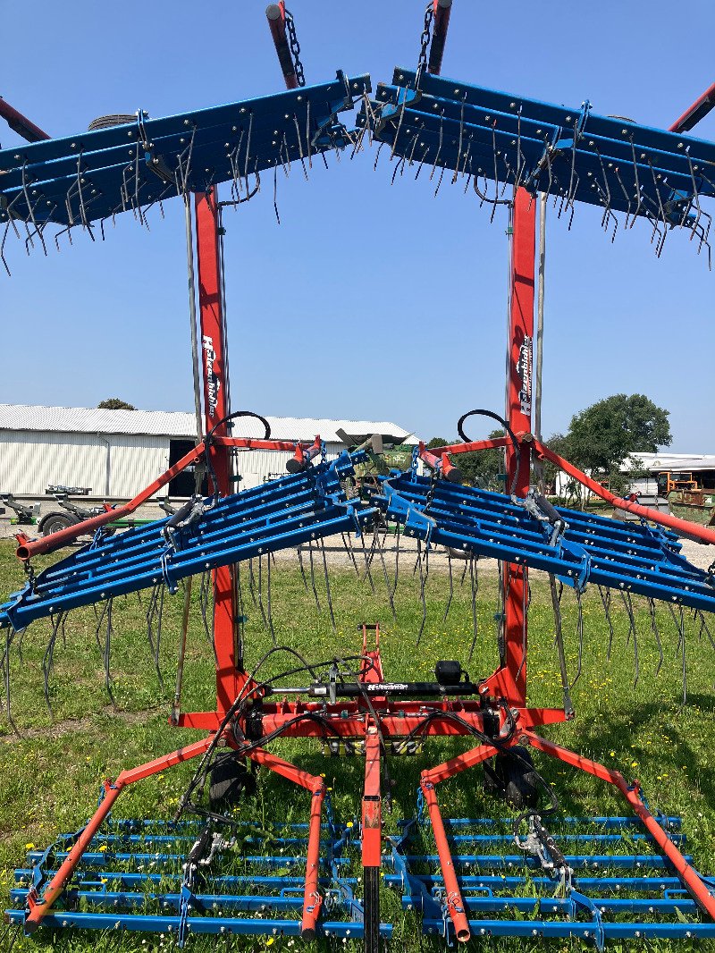 Striegel tipa Hatzenbichler 9, Gebrauchtmaschine u Sonnewalde (Slika 3)