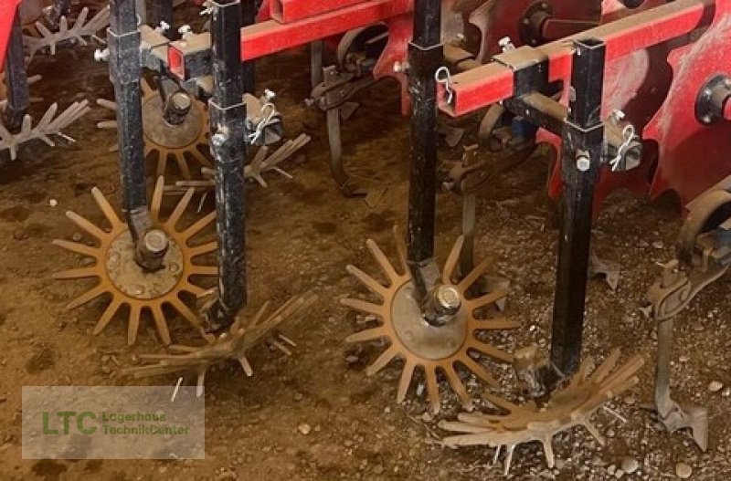 Striegel of the type Hatzenbichler Frontrübenhackgerät, Gebrauchtmaschine in Eggendorf (Picture 14)