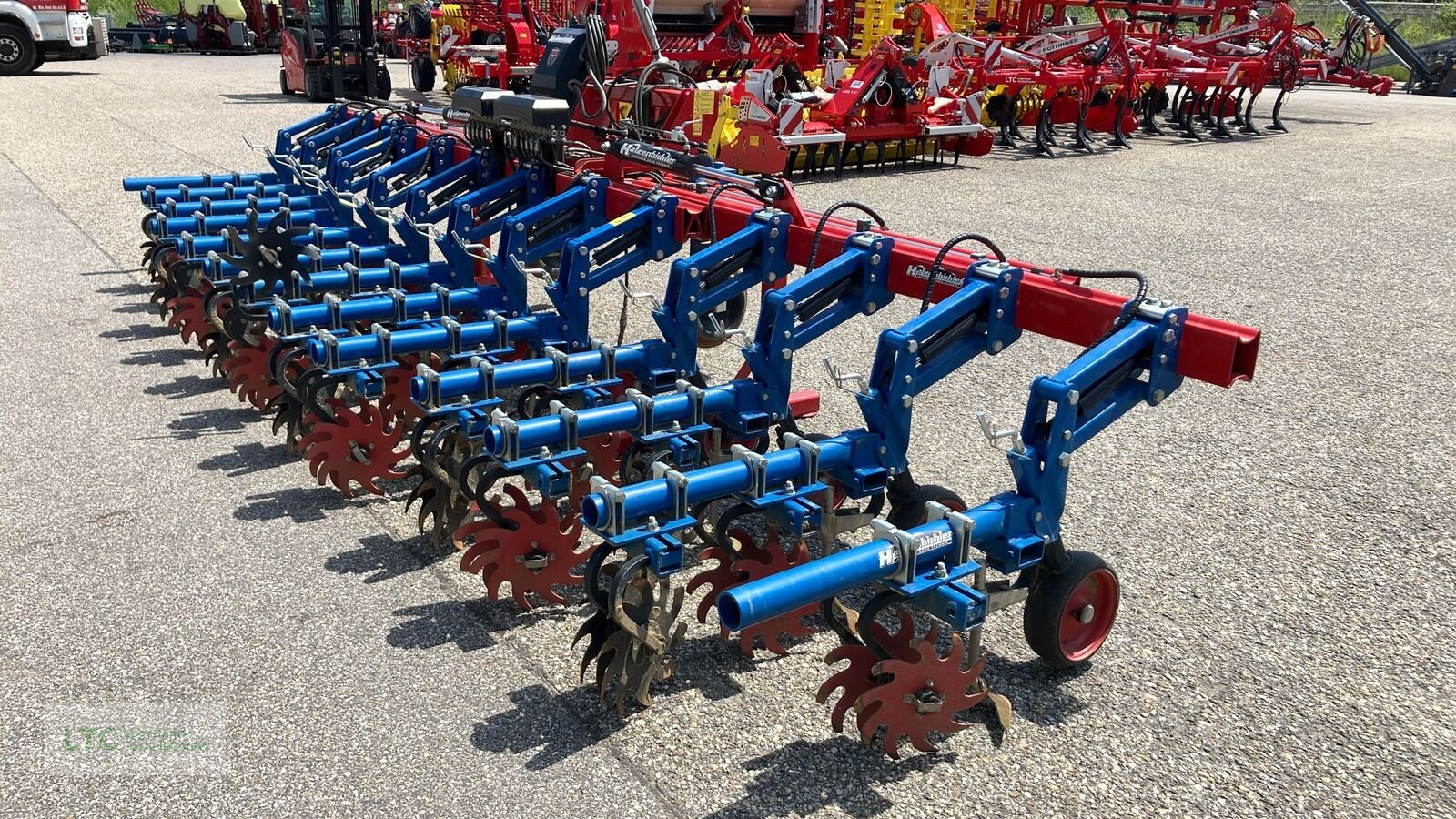 Striegel от тип Hatzenbichler Rollsternhacke 12x50, Gebrauchtmaschine в Korneuburg (Снимка 1)