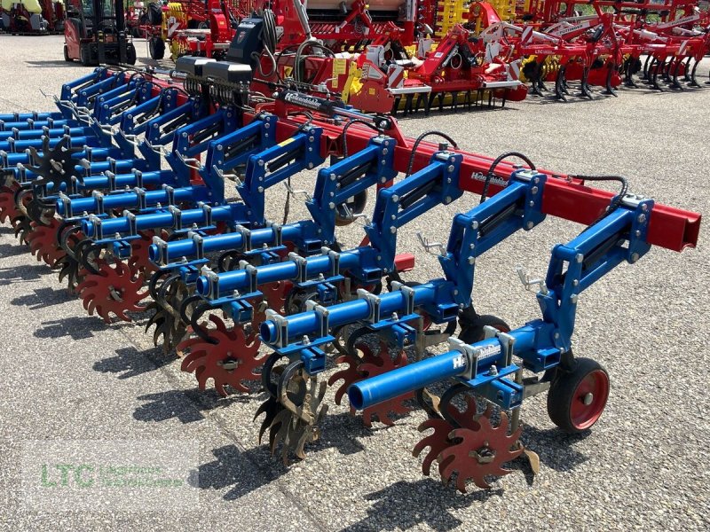 Striegel tip Hatzenbichler Rollsternhacke 12x50, Gebrauchtmaschine in Korneuburg (Poză 1)