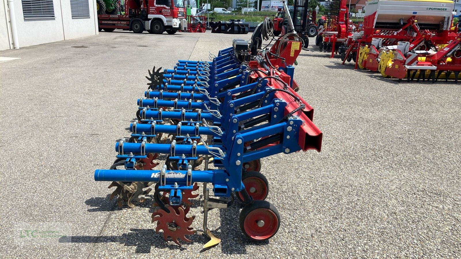 Striegel типа Hatzenbichler Rollsternhacke 12x50, Gebrauchtmaschine в Korneuburg (Фотография 4)